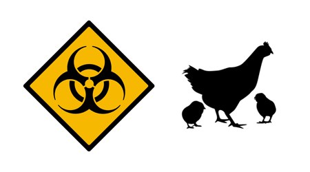 Biosecurity